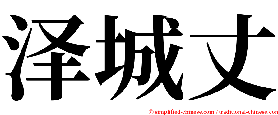 泽城丈 serif font