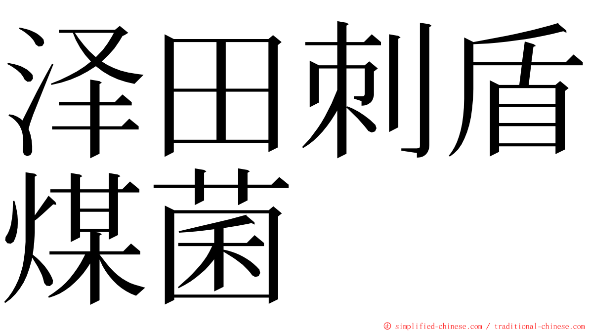 泽田刺盾煤菌 ming font