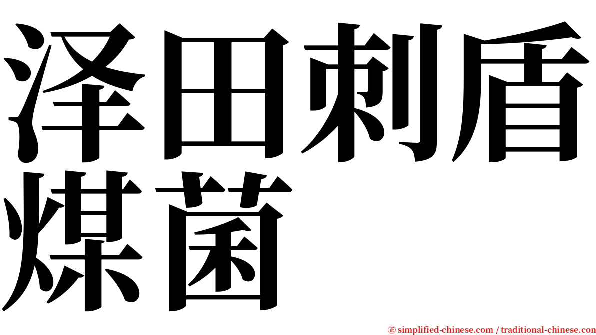 泽田刺盾煤菌 serif font