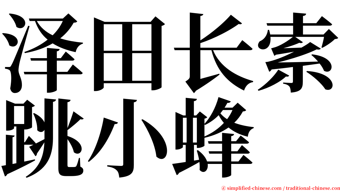 泽田长索跳小蜂 serif font