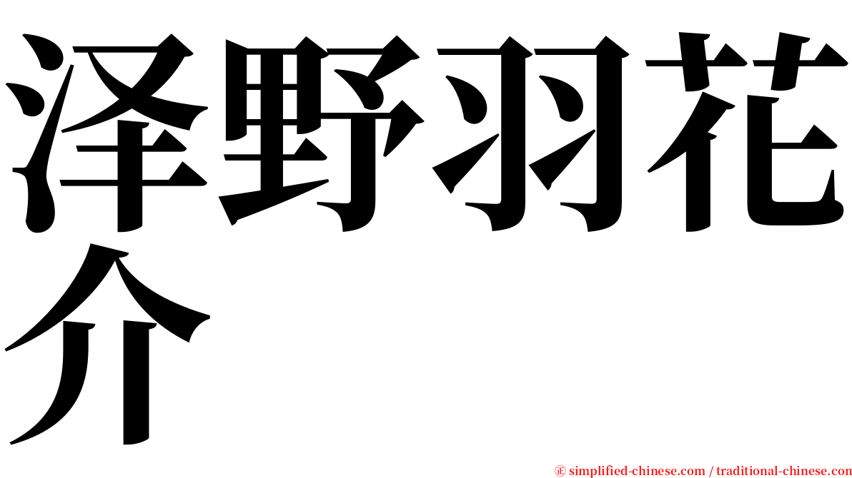 泽野羽花介 serif font