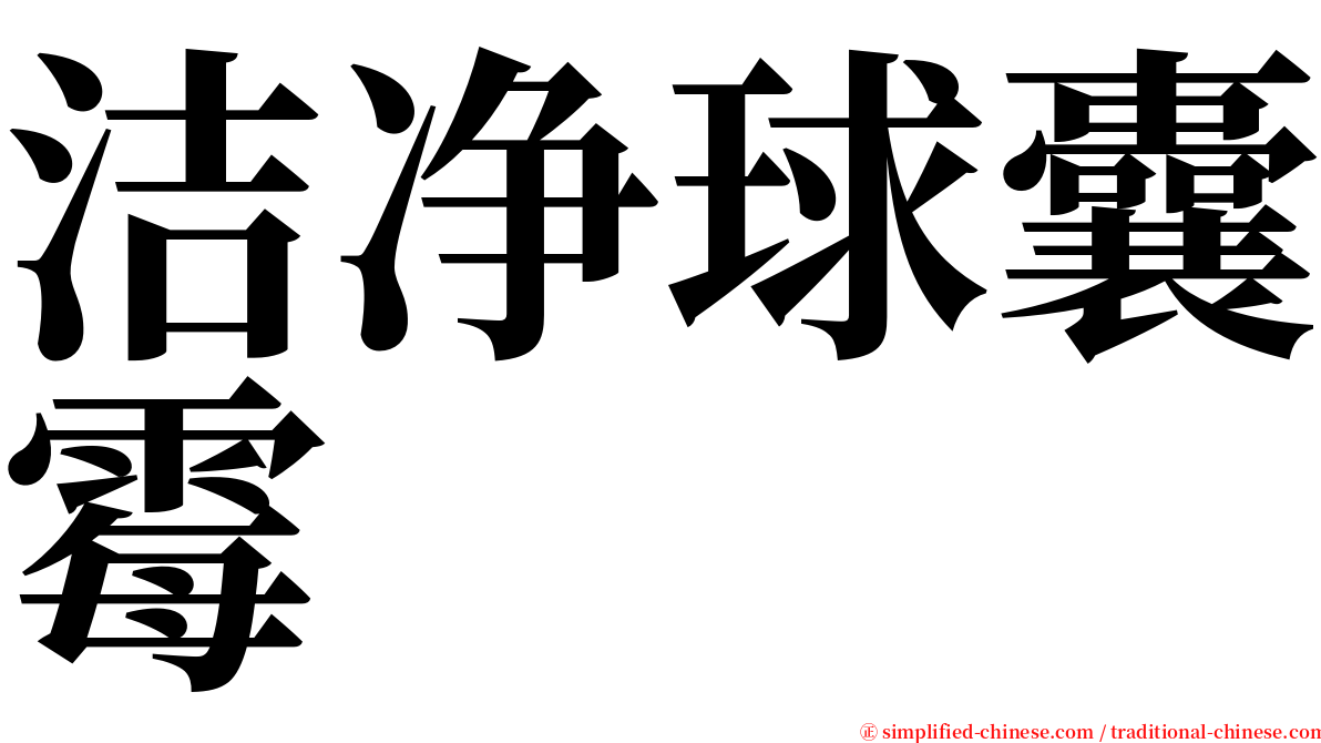 洁净球囊霉 serif font