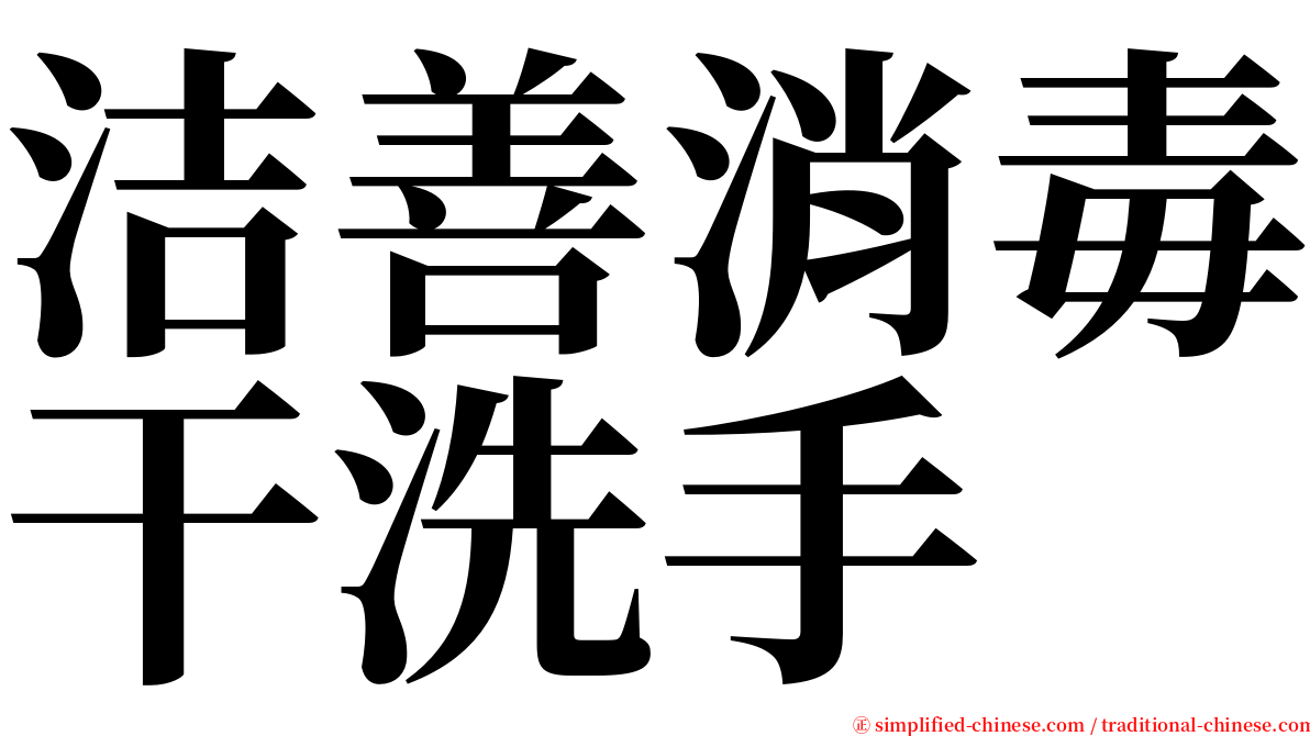 洁善消毒干洗手 serif font