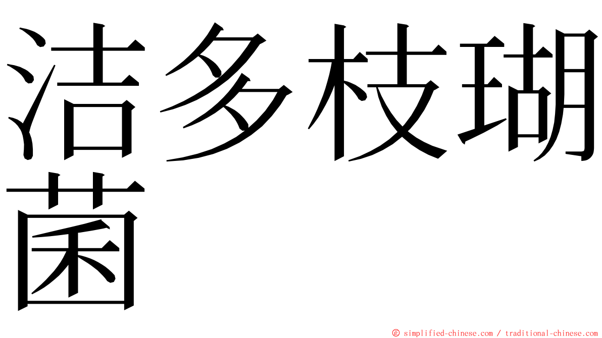 洁多枝瑚菌 ming font