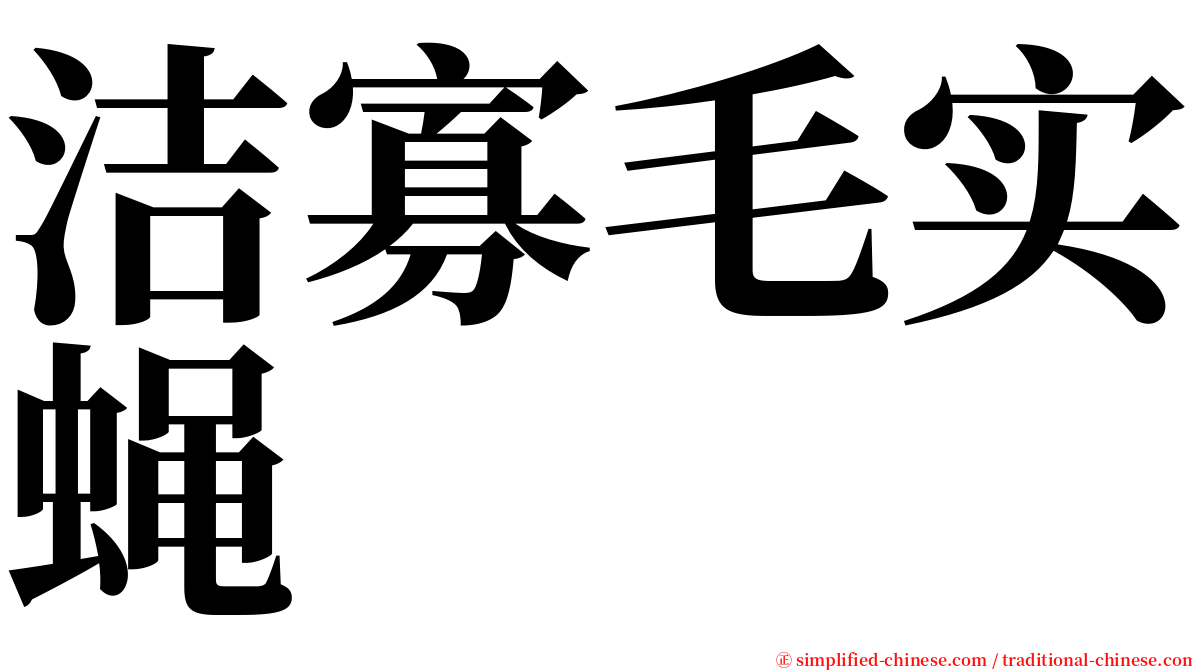 洁寡毛实蝇 serif font