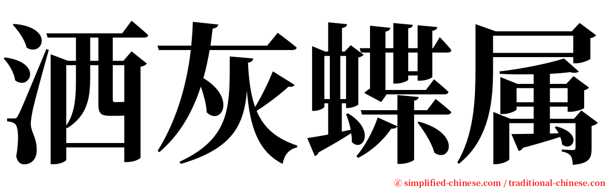 洒灰蝶属 serif font