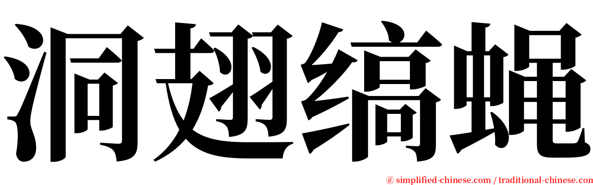 洞翅缟蝇 serif font