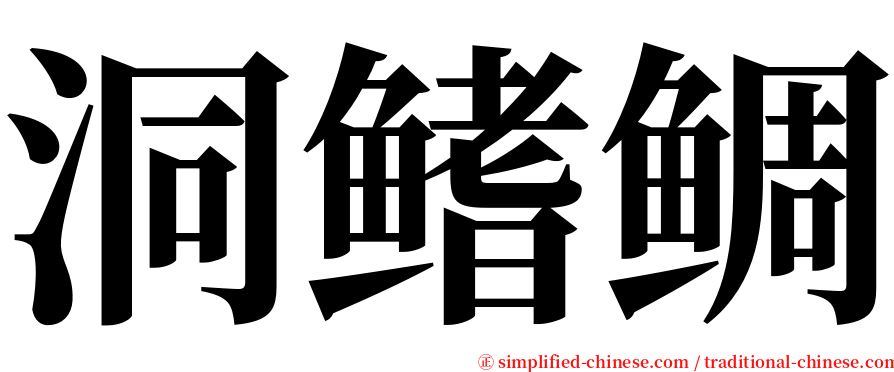 洞鳍鲷 serif font