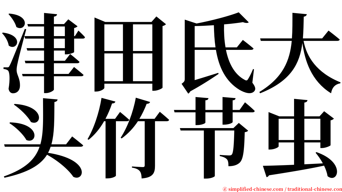 津田氏大头竹节虫 serif font