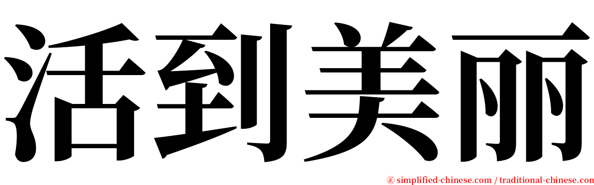 活到美丽 serif font