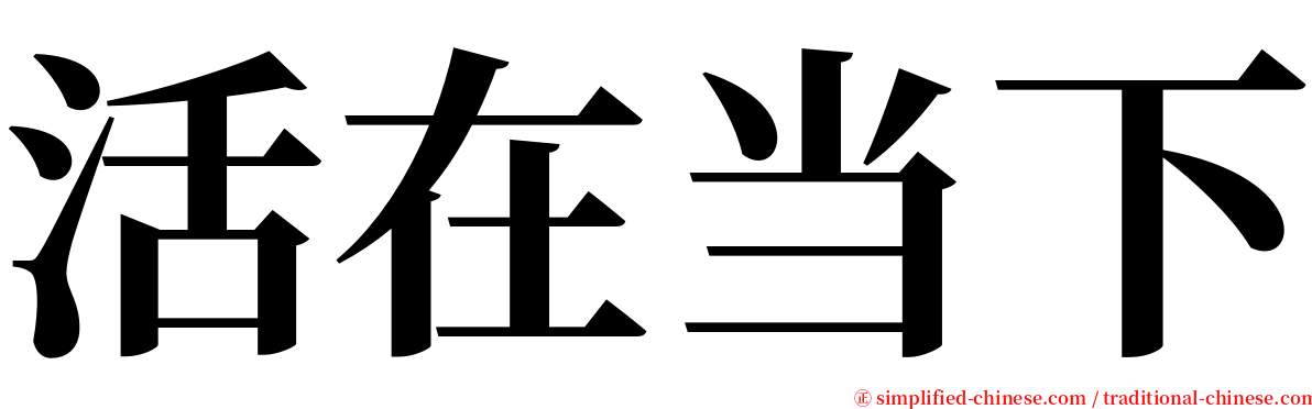 活在当下 serif font