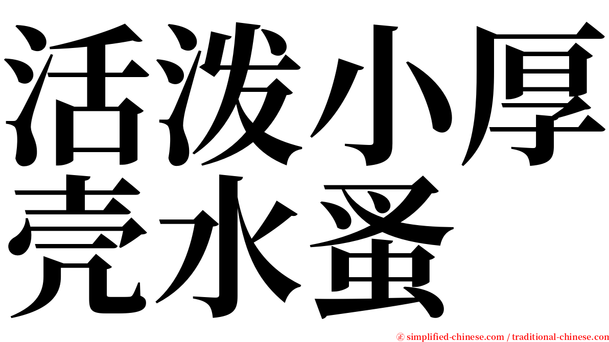 活泼小厚壳水蚤 serif font