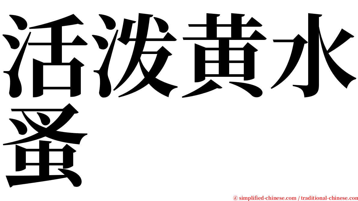 活泼黄水蚤 serif font