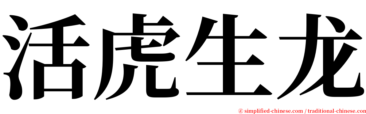 活虎生龙 serif font