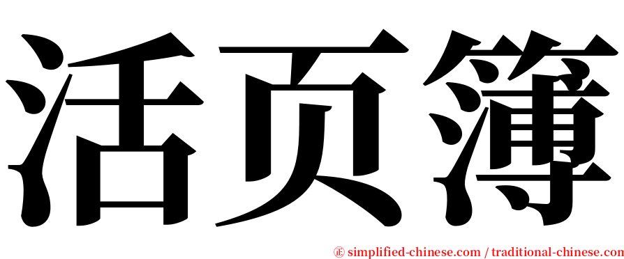 活页簿 serif font