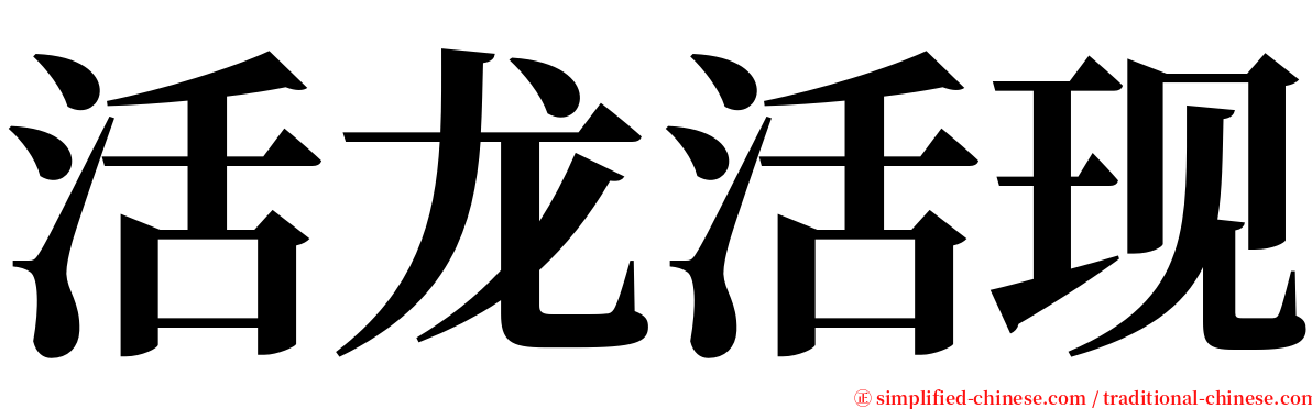 活龙活现 serif font