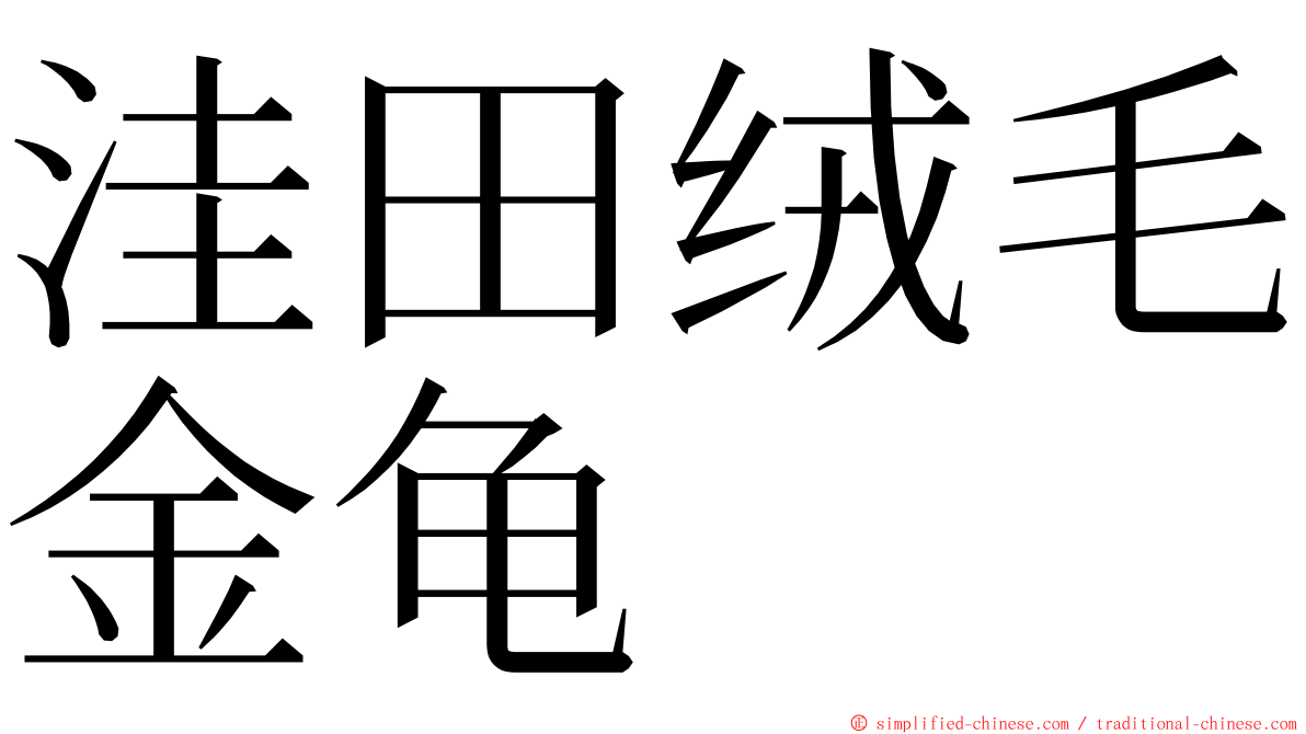 洼田绒毛金龟 ming font