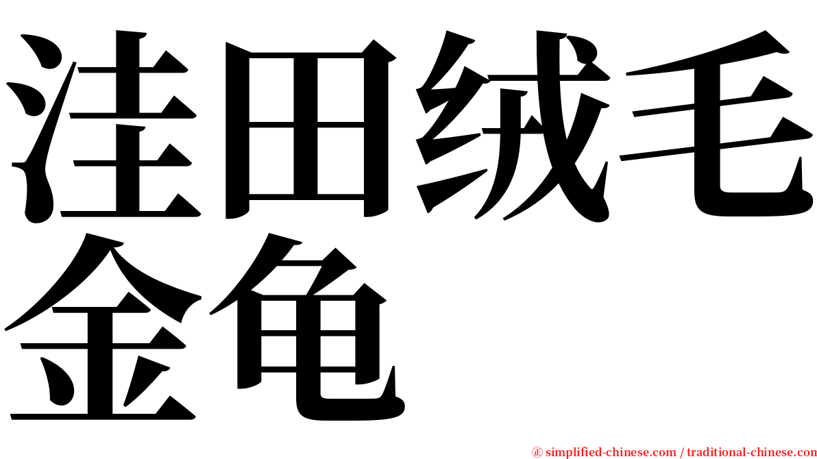 洼田绒毛金龟 serif font