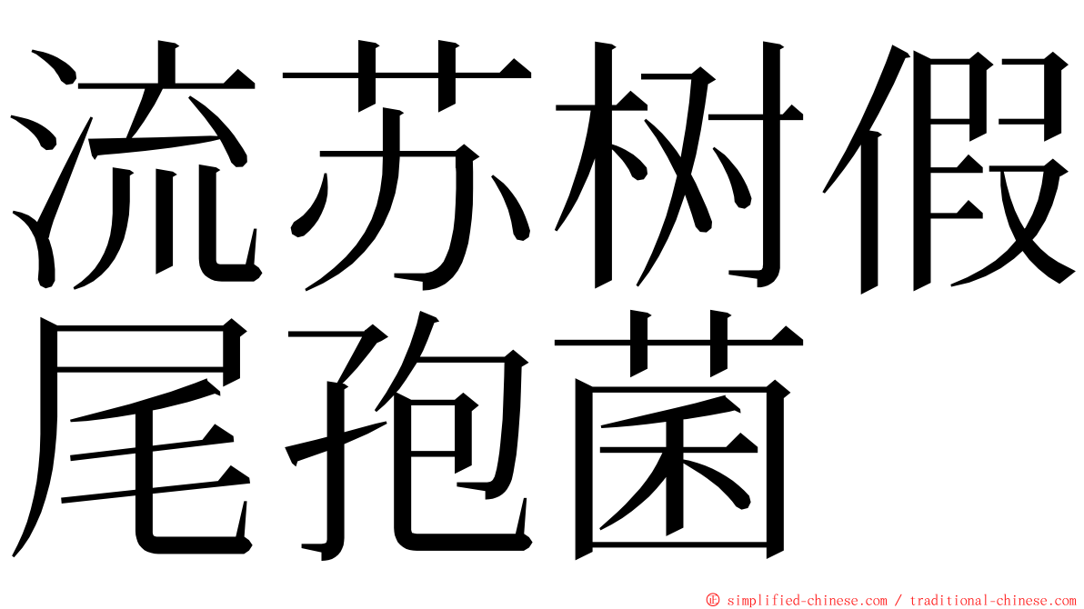 流苏树假尾孢菌 ming font