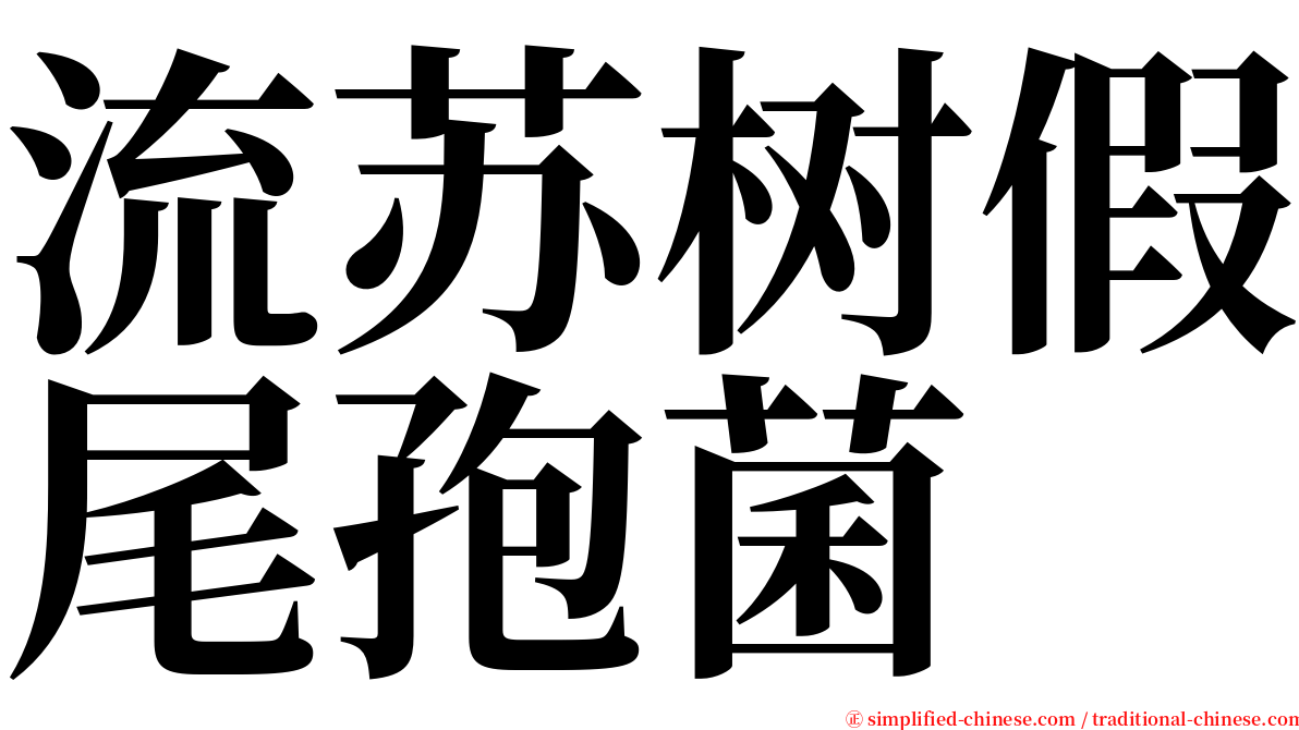 流苏树假尾孢菌 serif font