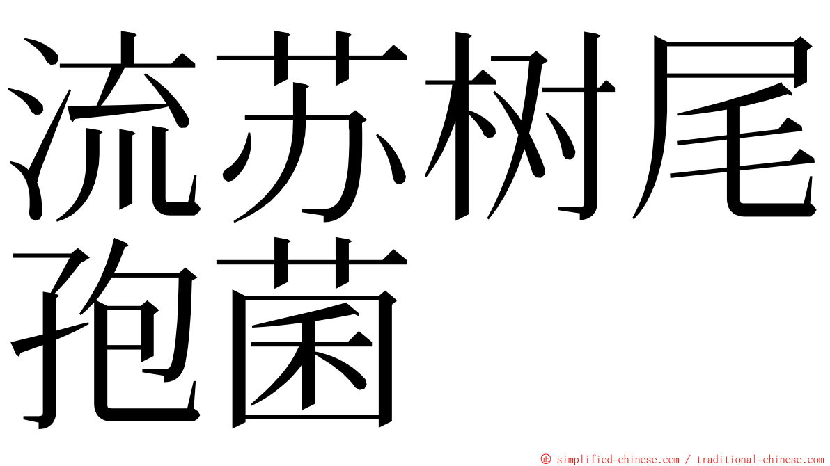 流苏树尾孢菌 ming font