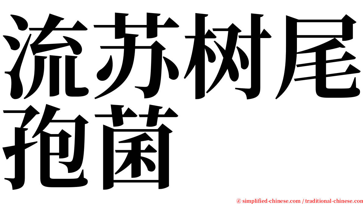 流苏树尾孢菌 serif font