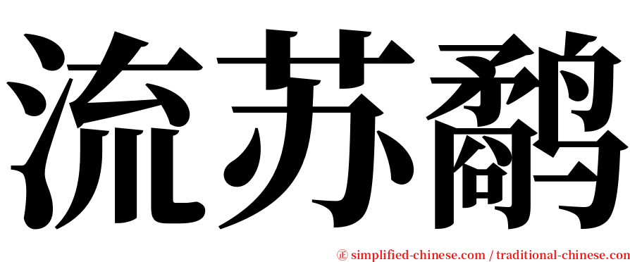 流苏鹬 serif font