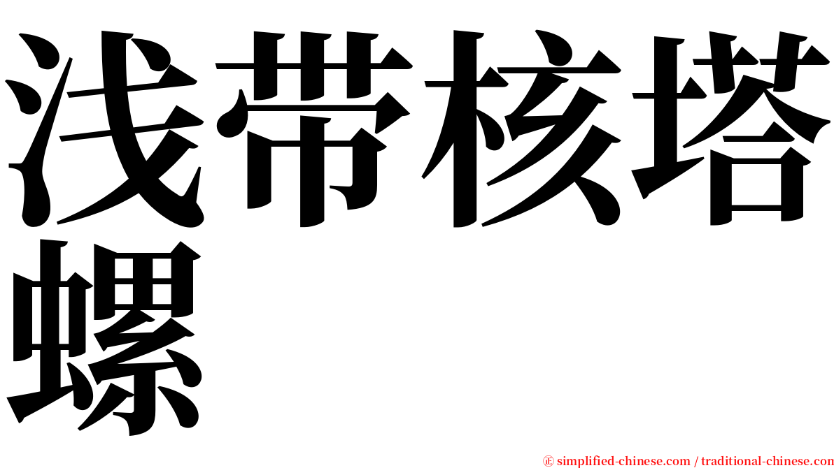 浅带核塔螺 serif font