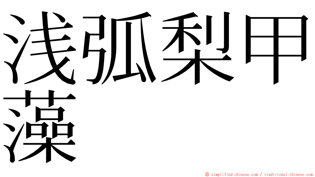 浅弧梨甲藻 ming font