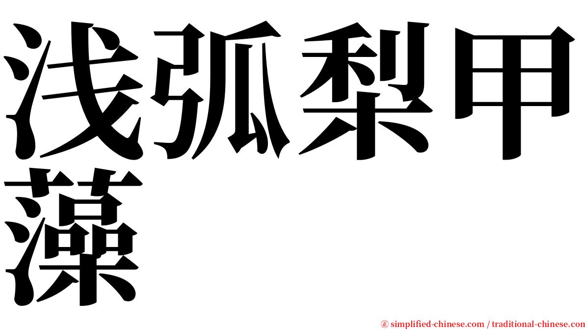 浅弧梨甲藻 serif font