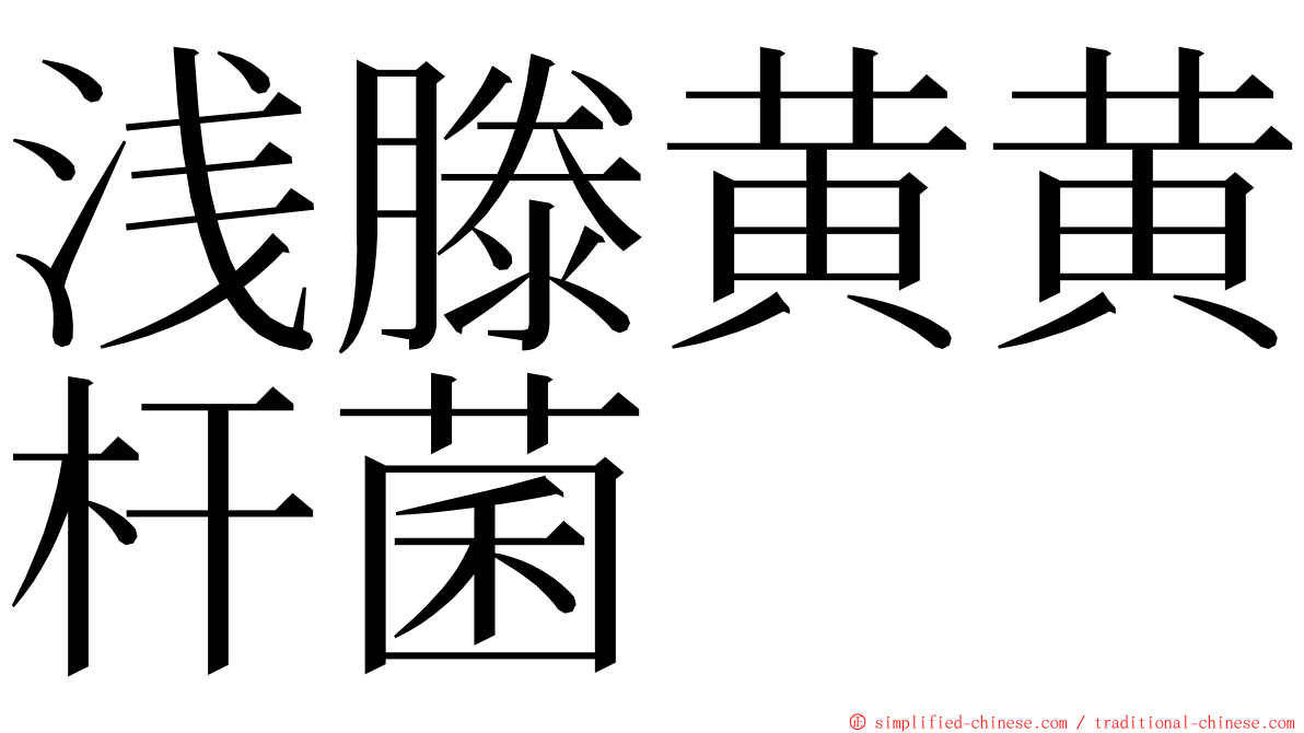 浅滕黄黄杆菌 ming font