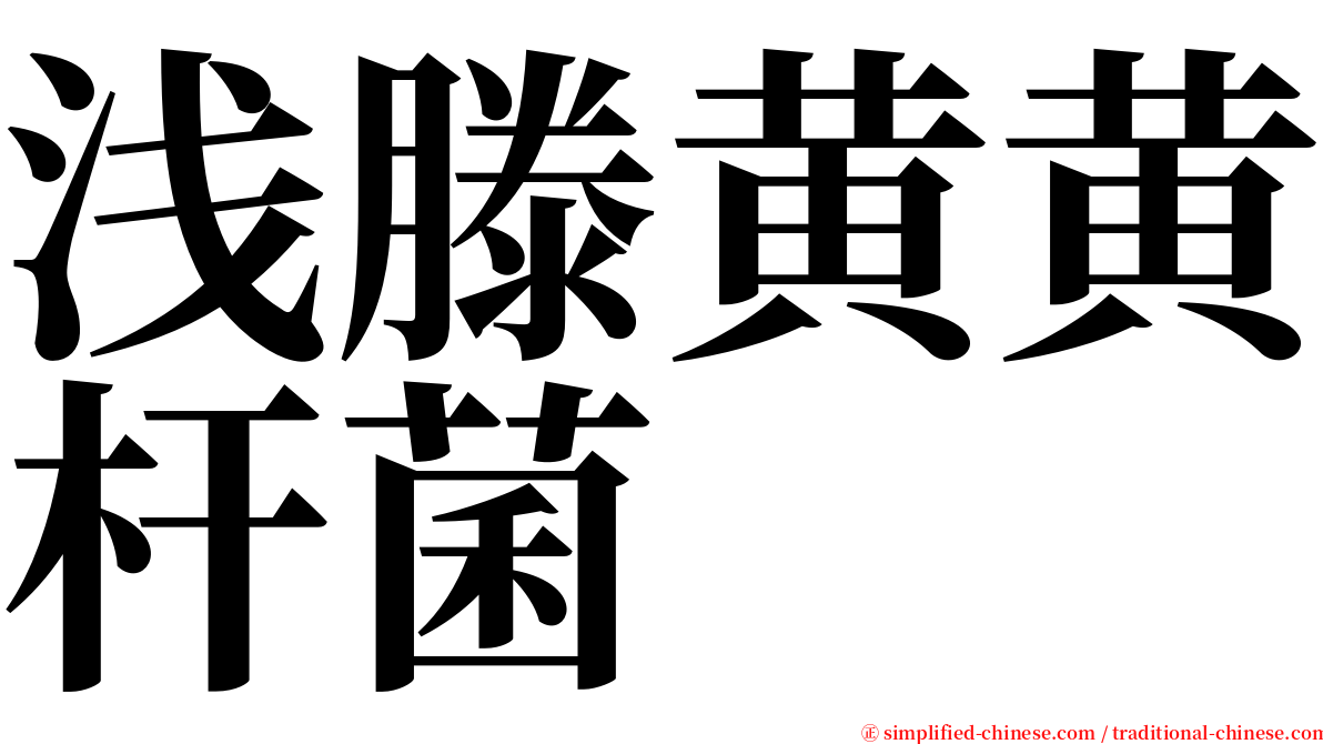 浅滕黄黄杆菌 serif font