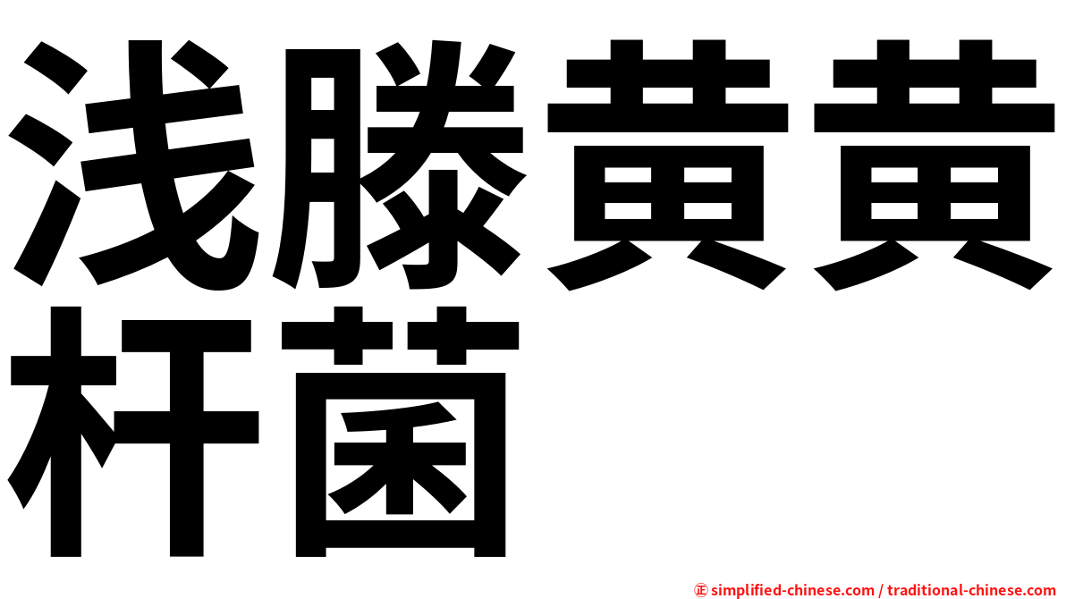 浅滕黄黄杆菌