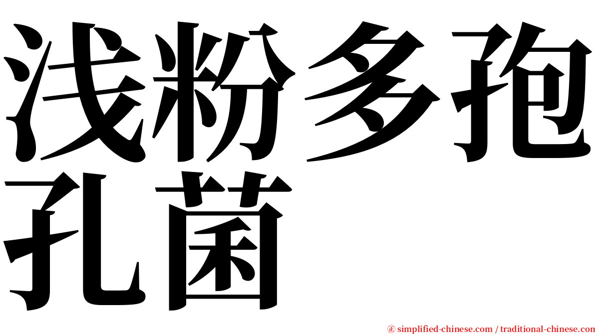 浅粉多孢孔菌 serif font