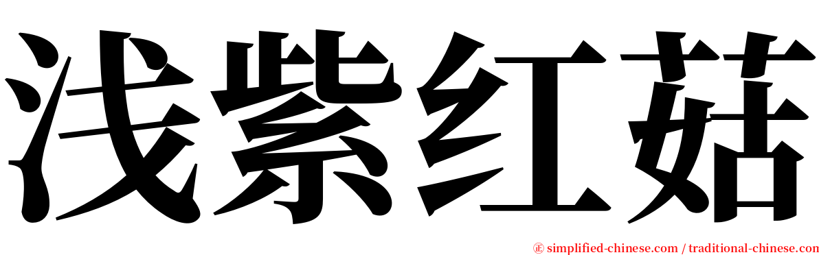 浅紫红菇 serif font