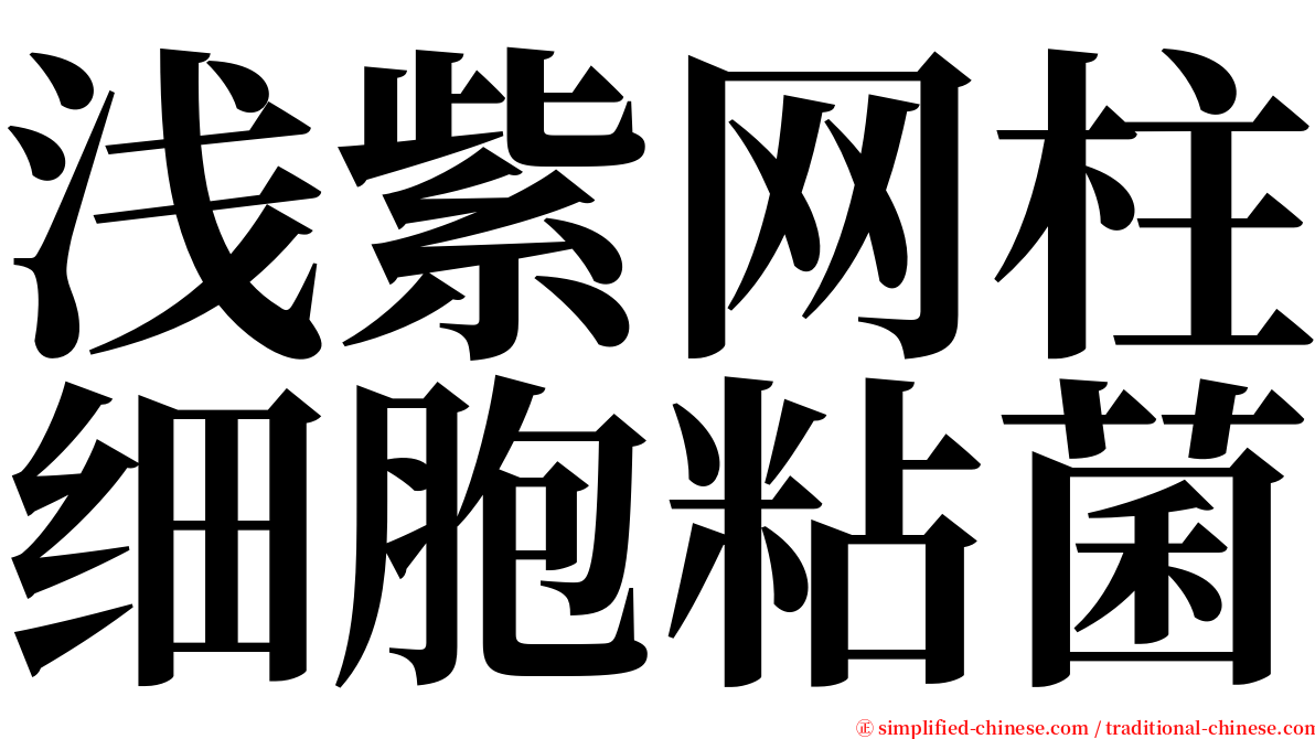 浅紫网柱细胞粘菌 serif font