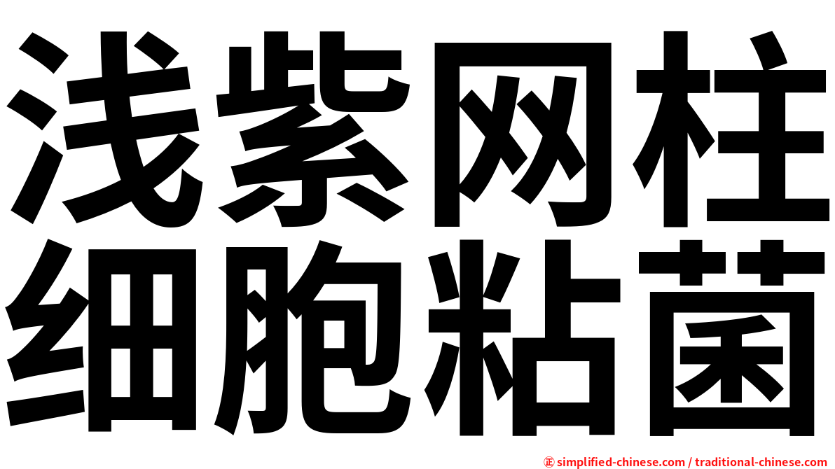 浅紫网柱细胞粘菌