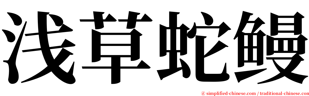 浅草蛇鳗 serif font