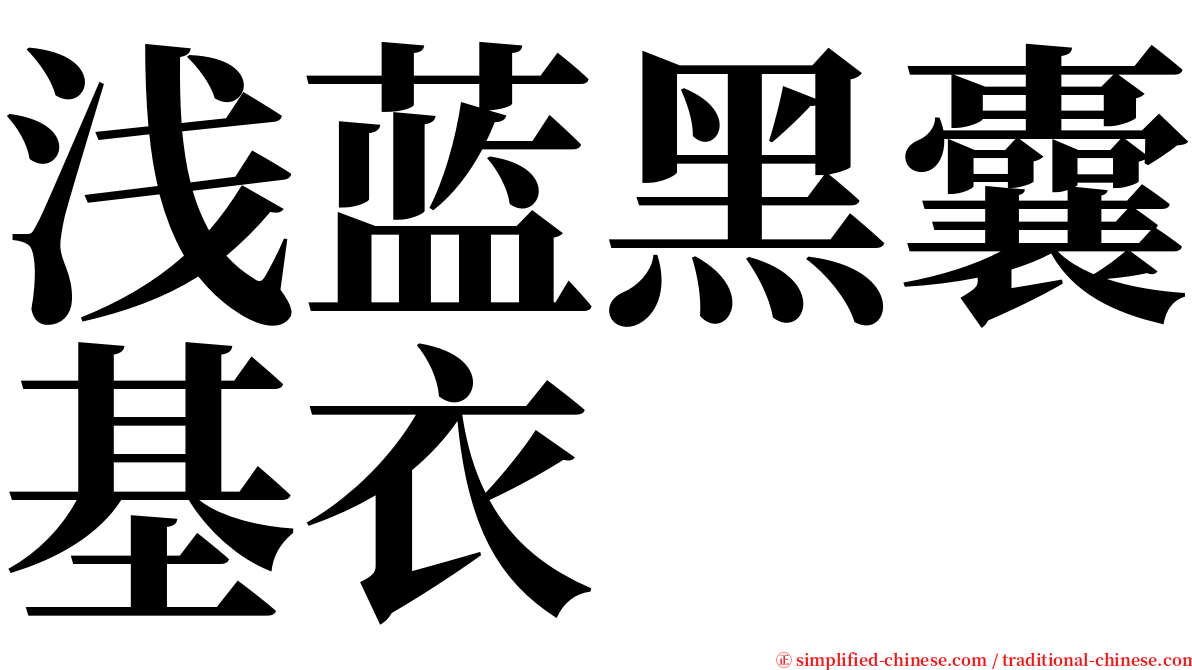 浅蓝黑囊基衣 serif font