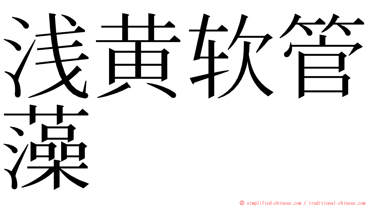 浅黄软管藻 ming font