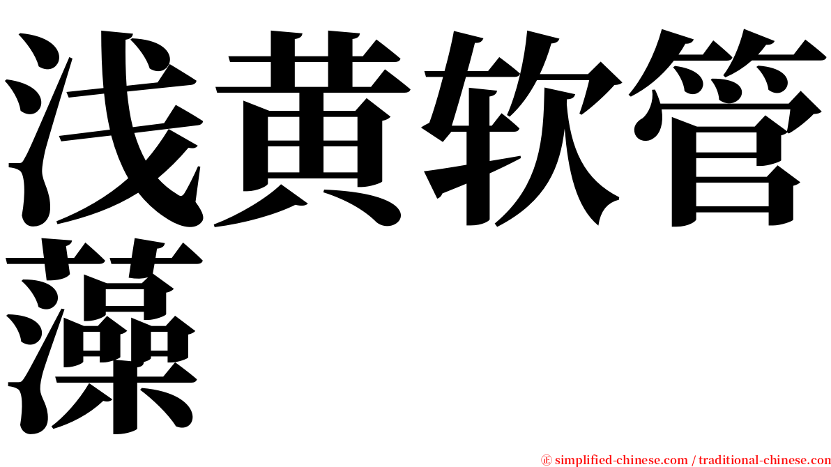 浅黄软管藻 serif font
