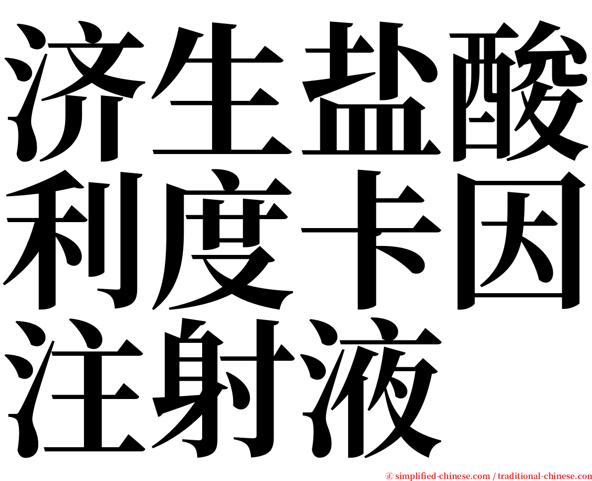 济生盐酸利度卡因注射液 serif font