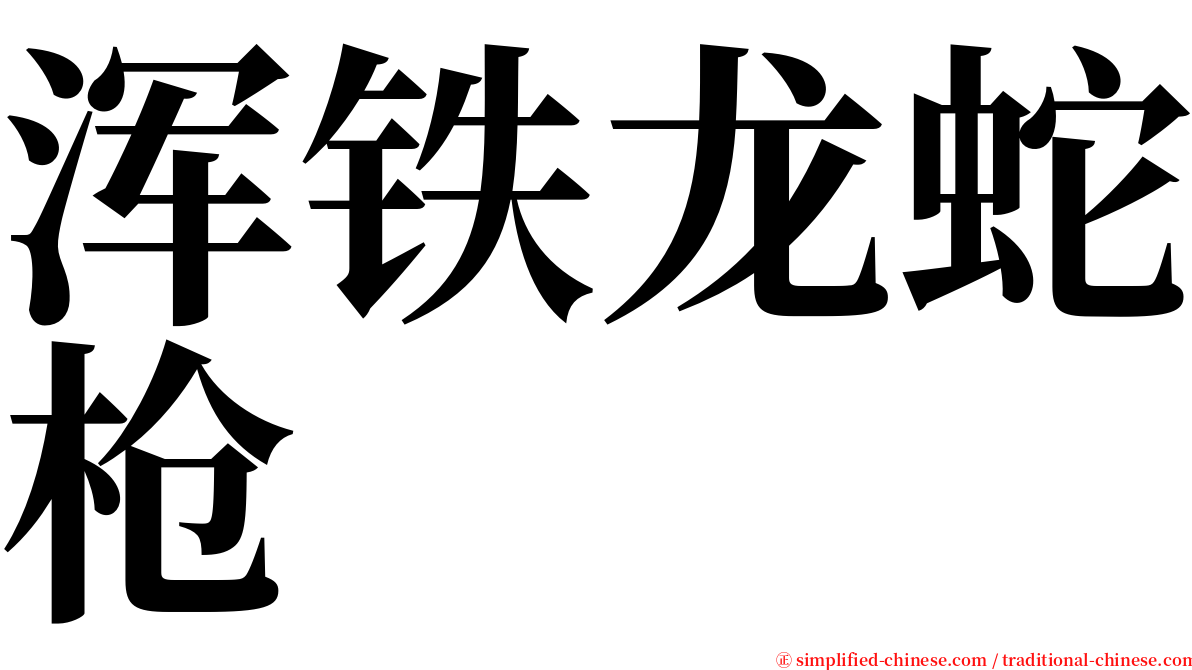 浑铁龙蛇枪 serif font