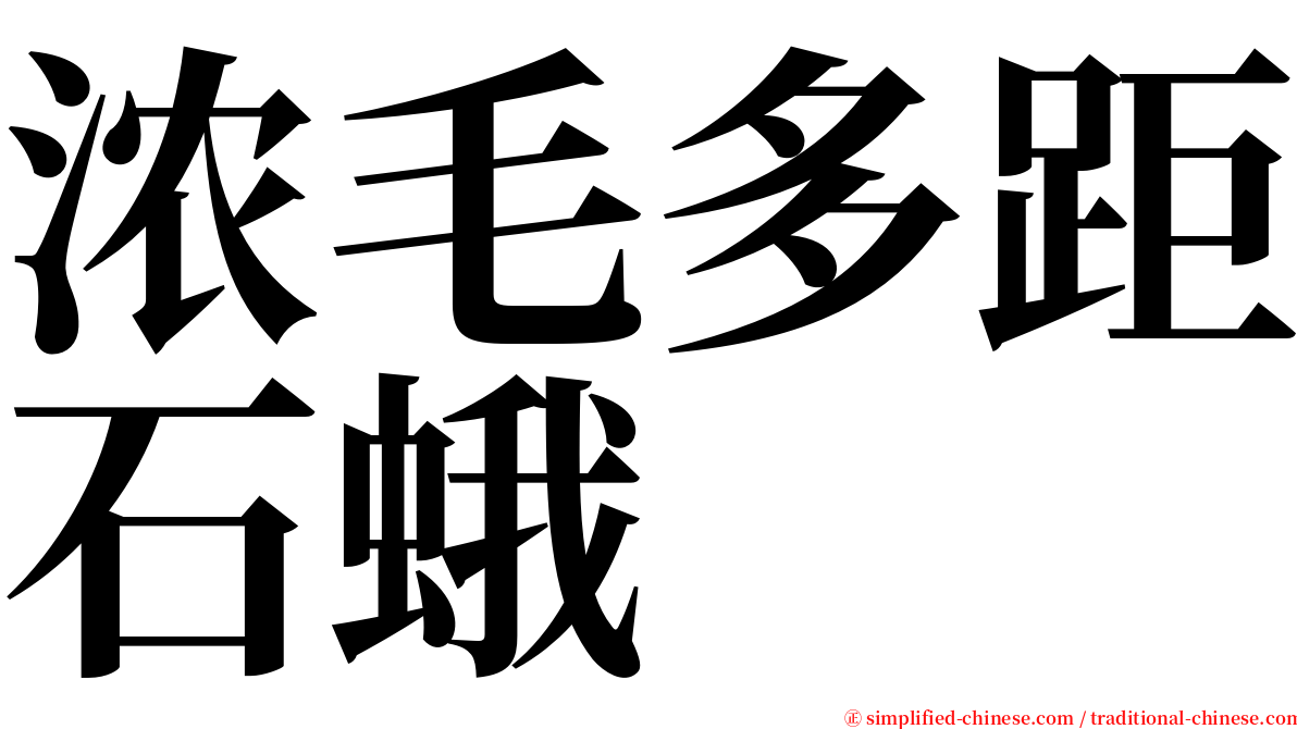 浓毛多距石蛾 serif font