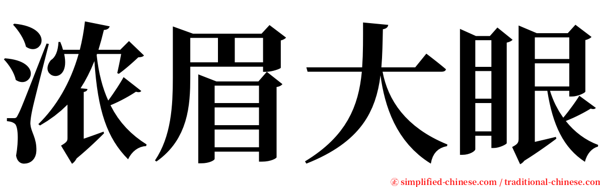 浓眉大眼 serif font