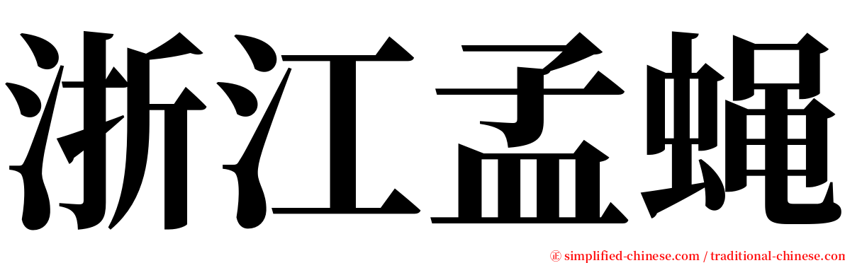 浙江孟蝇 serif font