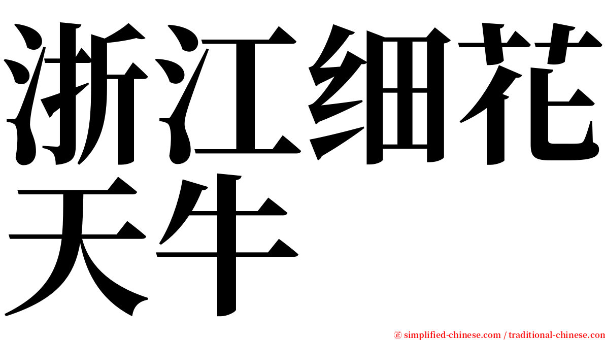 浙江细花天牛 serif font