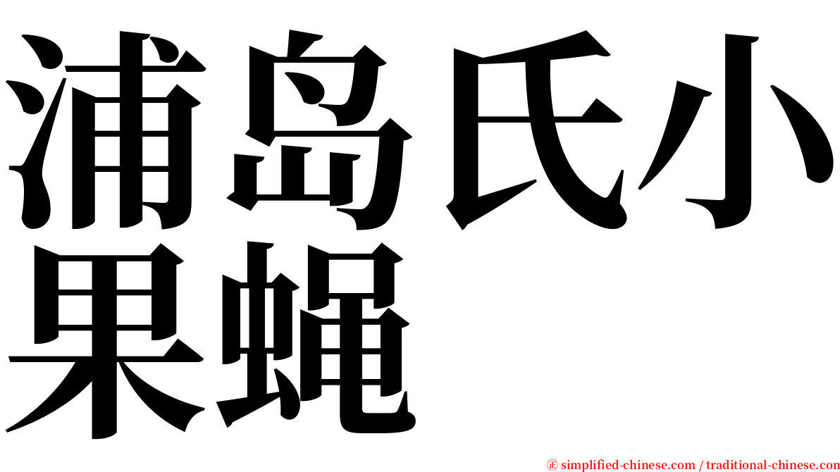 浦岛氏小果蝇 serif font