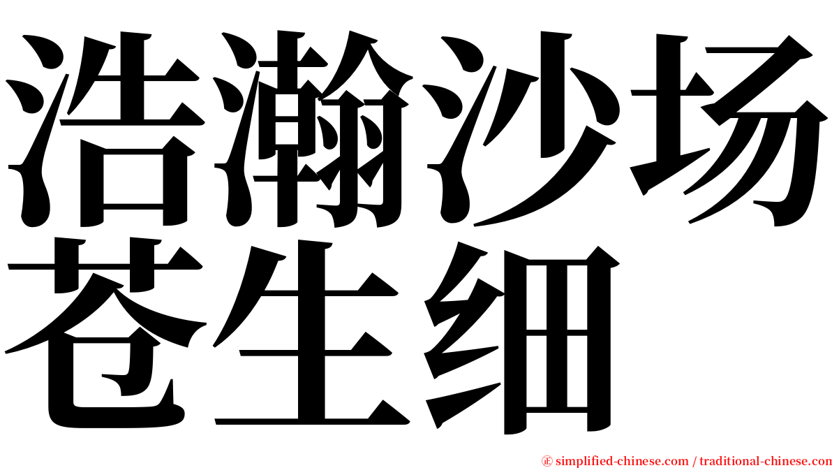 浩瀚沙场苍生细 serif font