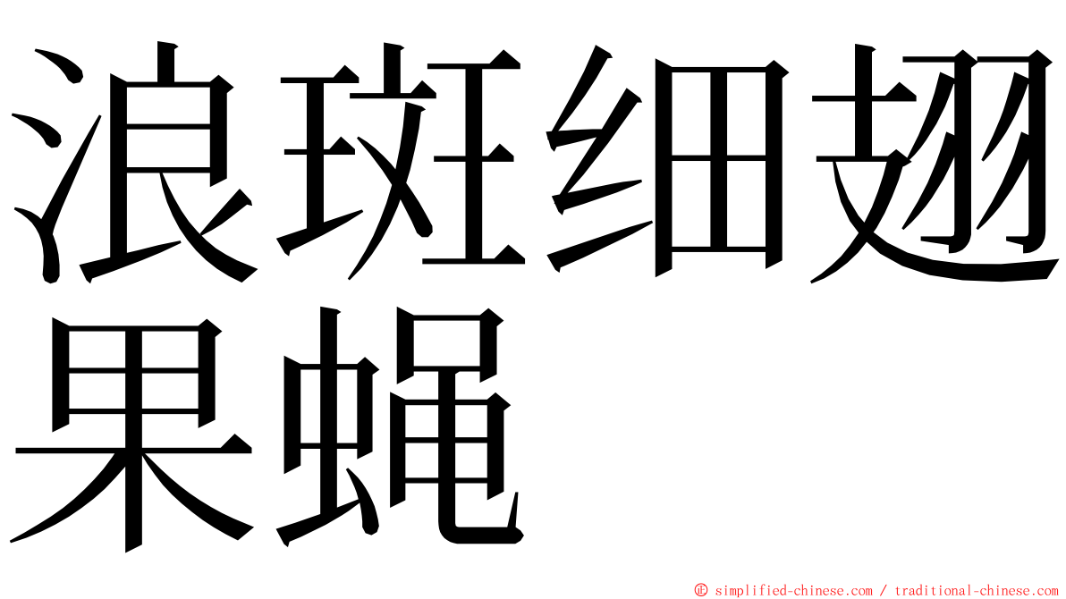 浪斑细翅果蝇 ming font